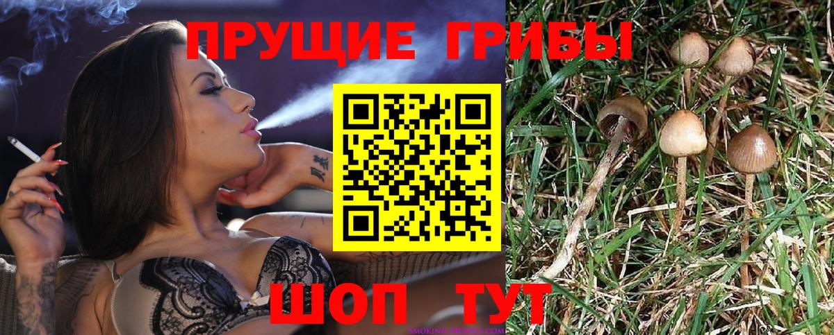 Псилоцибиновые грибы ЛСД Нижнеудинск