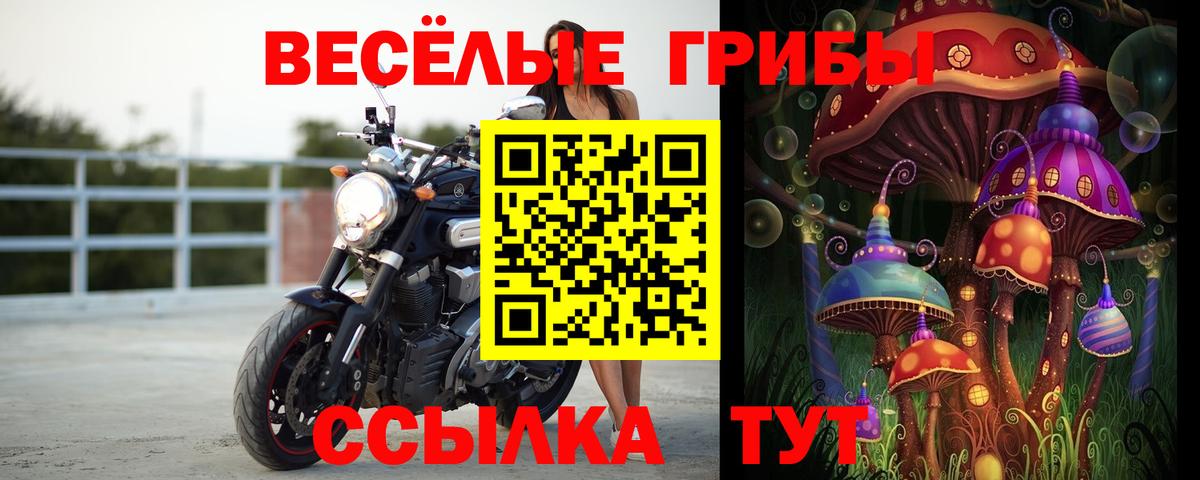 Нижнеудинск  Галлюциногенные грибы Cubensis  Вход с VPN 